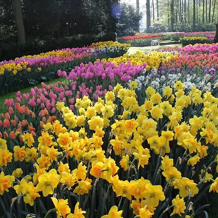 Hofje Maas